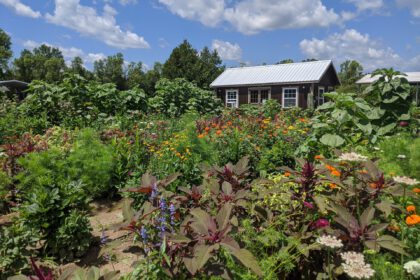 Een goedkoop tuinhuis als inspirerende werkplek