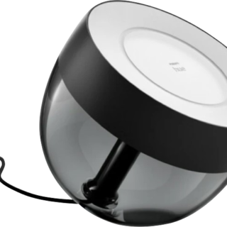 Philips Hue Iris White and Color Zwart