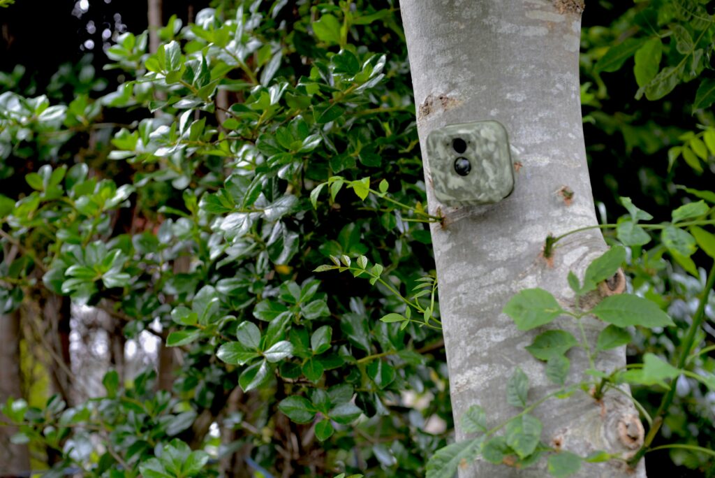 Hoe weet je of er een camera in je huis zit? - HomeLovers