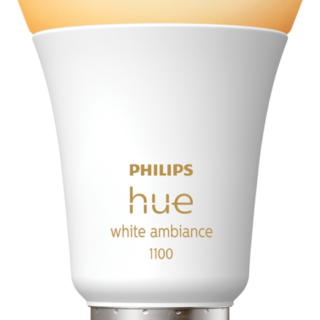 Philips Hue White Ambiance E27 1100lm Losse lamp