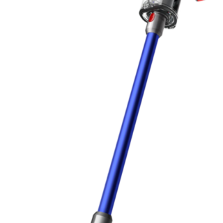 Dyson V11